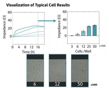 Adherent Cell Lines Protocol | Axion Biosystems